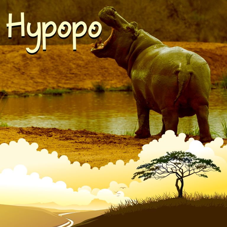 Pochette de Hypopo