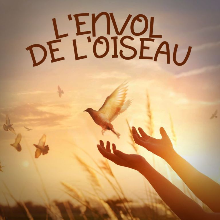 Pochette de L'Envol de l'Oiseau