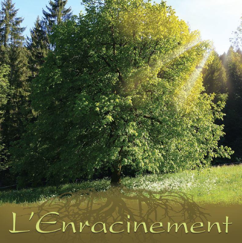 Pochette de Le Ruisseau de Vie
