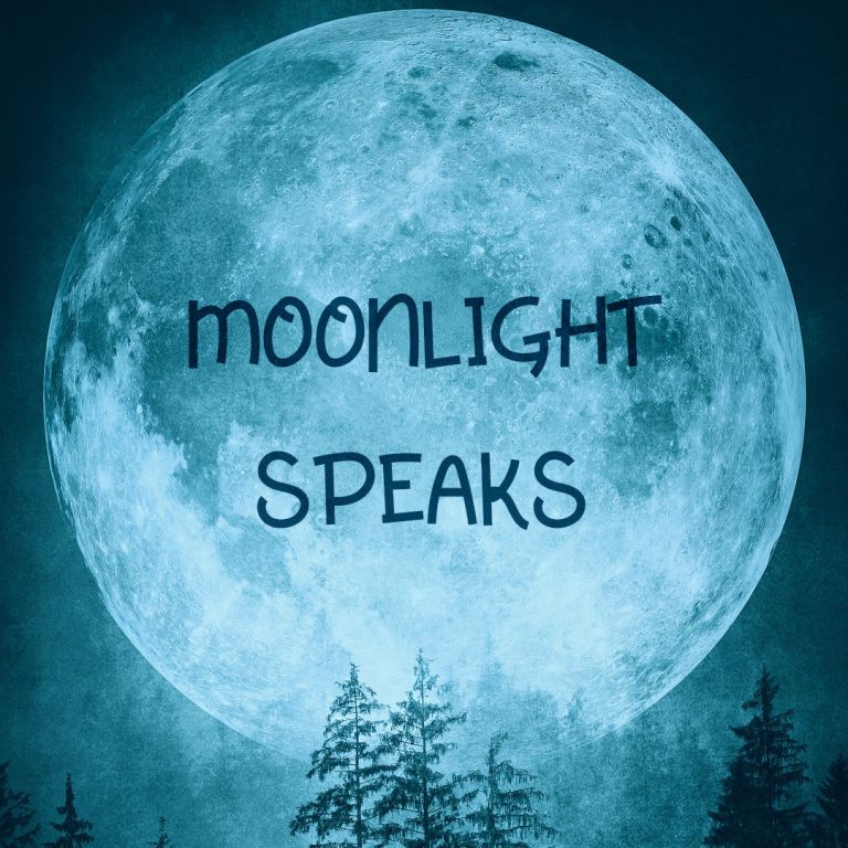 Pochette de Moonlight Speaks