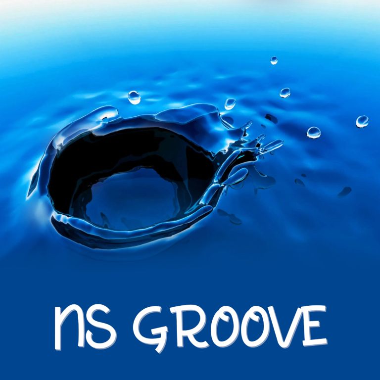 Pochette de Ns Groove