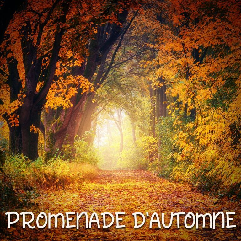 Pochette de Promenade d'Automne