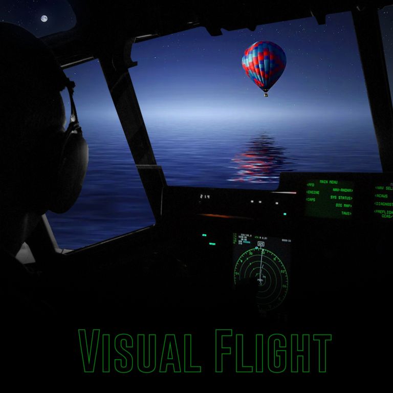 Pochette de Visual Flight