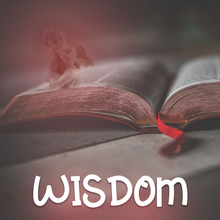 Pochette de Wisdom